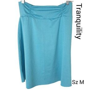 Women's Skirt M Stretch Skater Pull on Knee Length Teal Stripped Skirt M NWOT